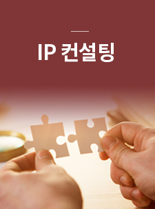 IP 컨설팅